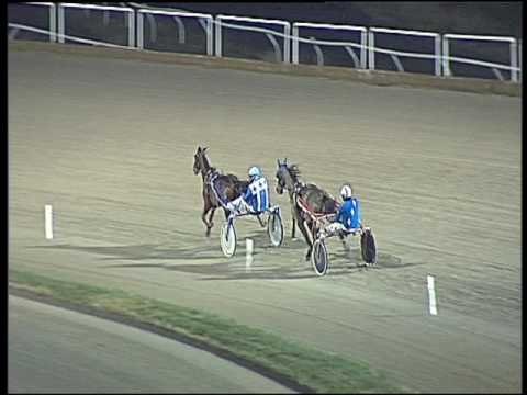 Trotto 13/01/2017 - prova di qualifica