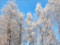 Winter in Latvia