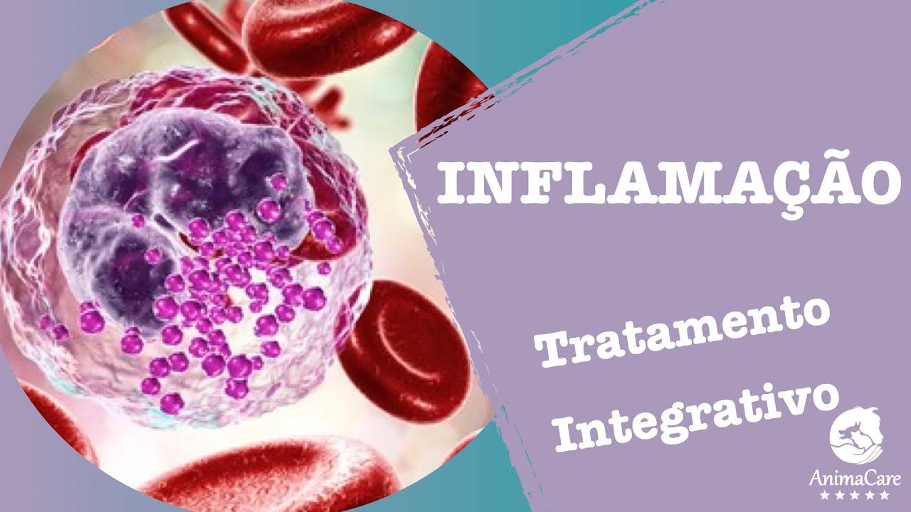 Inflamação Aguda e Crônica - Cistite em cães e gatos - Dra Juju
