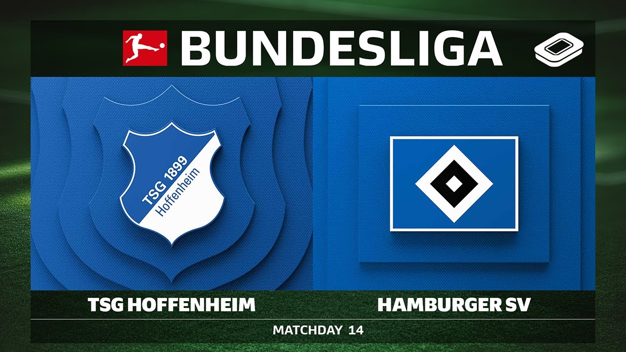 LIVE 🔴 TSG Hoffenheim vs. Hamburger SV | Matchday 14 - Bundesliga 2025/26
