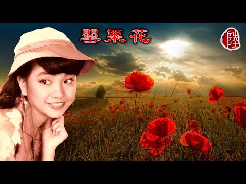 陳秋霞【罌粟花 1979】(歌詞MV)(1080p)(作曲：陳秋霞)(填詞：鄭國江)(Chelsia Chan)
