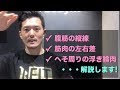 「へそ周りの浮き輪肉」と「腹筋の縦線」と「筋肉の左右差」について解説