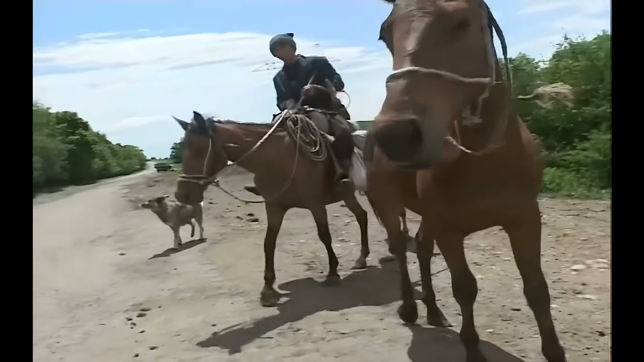 Strassenverkehr, Georgien