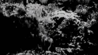 L&#39;arche de Noé (Noah&#39;s Ark) - 1928 -  Michael Curtiz