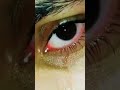 Dil Var Var Roya Sad Panjabi Song Status Panjabi Song Status