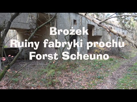🇵🇱 Ruiny fabryki prochu Forst Scheuno. Brożek. Zasieki. Lubuskie. Polska. Poland.