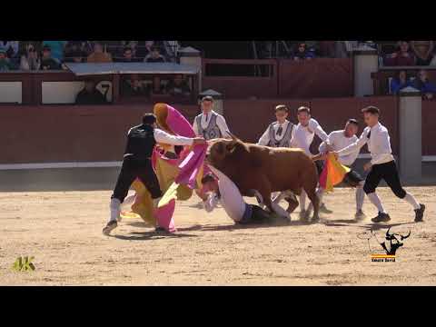 🕺🏽🐂 Grupo C, Campeonato de España de  Recortes 2018, 4K