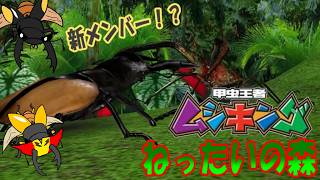 【甲虫王者ムシキング】アーケード版ムシキングオムニバス編！第４話あっついねったいの森での戦い！新メンバーのイケメンブルマイスターと覆面ラコダールのツヤクワガタタッグ！【ゆっくり実況】