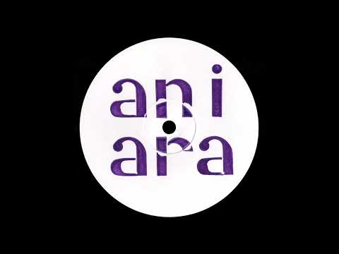 Dorisburg & Efraim Kent - Data Smuggler [ANIARAWL04]