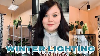 Winter Lights for Houseplants | Mars Hydro TS 600W Unboxing