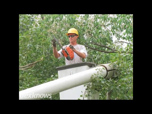 Sutton's Tree Service Inc - Midway Park, NC