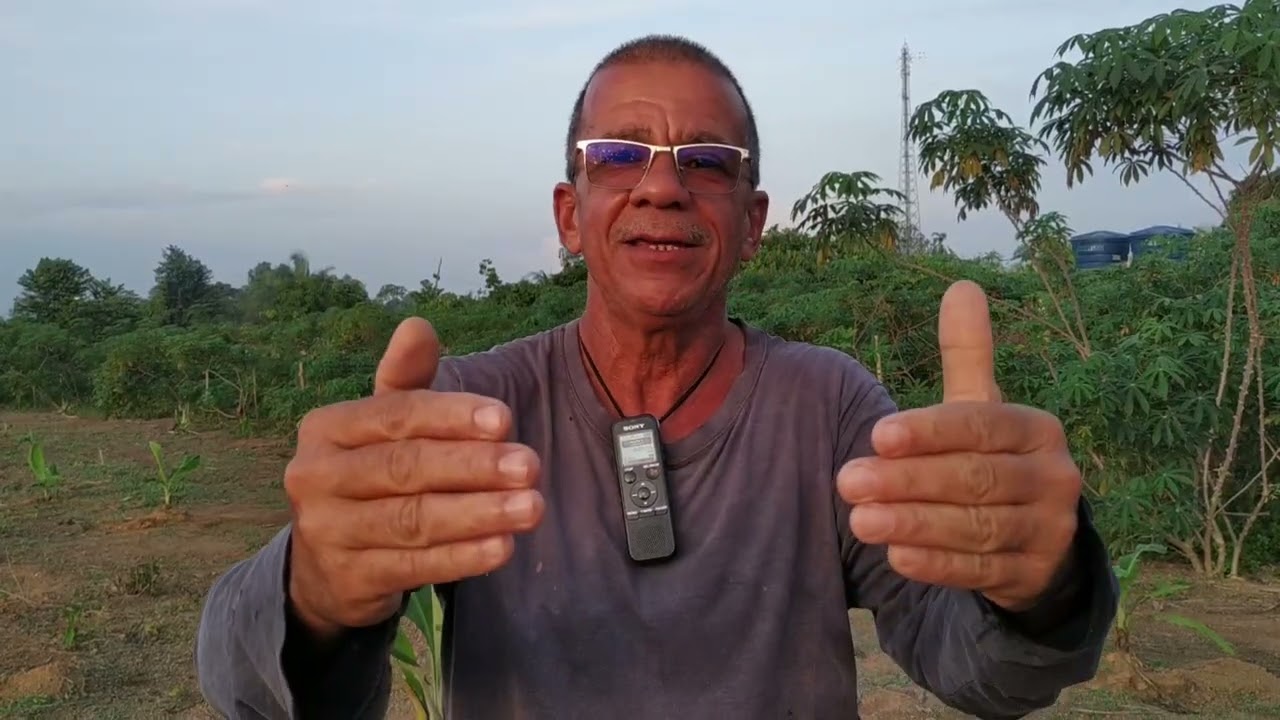 Alô BDM Digital me dê uma atenção por favor