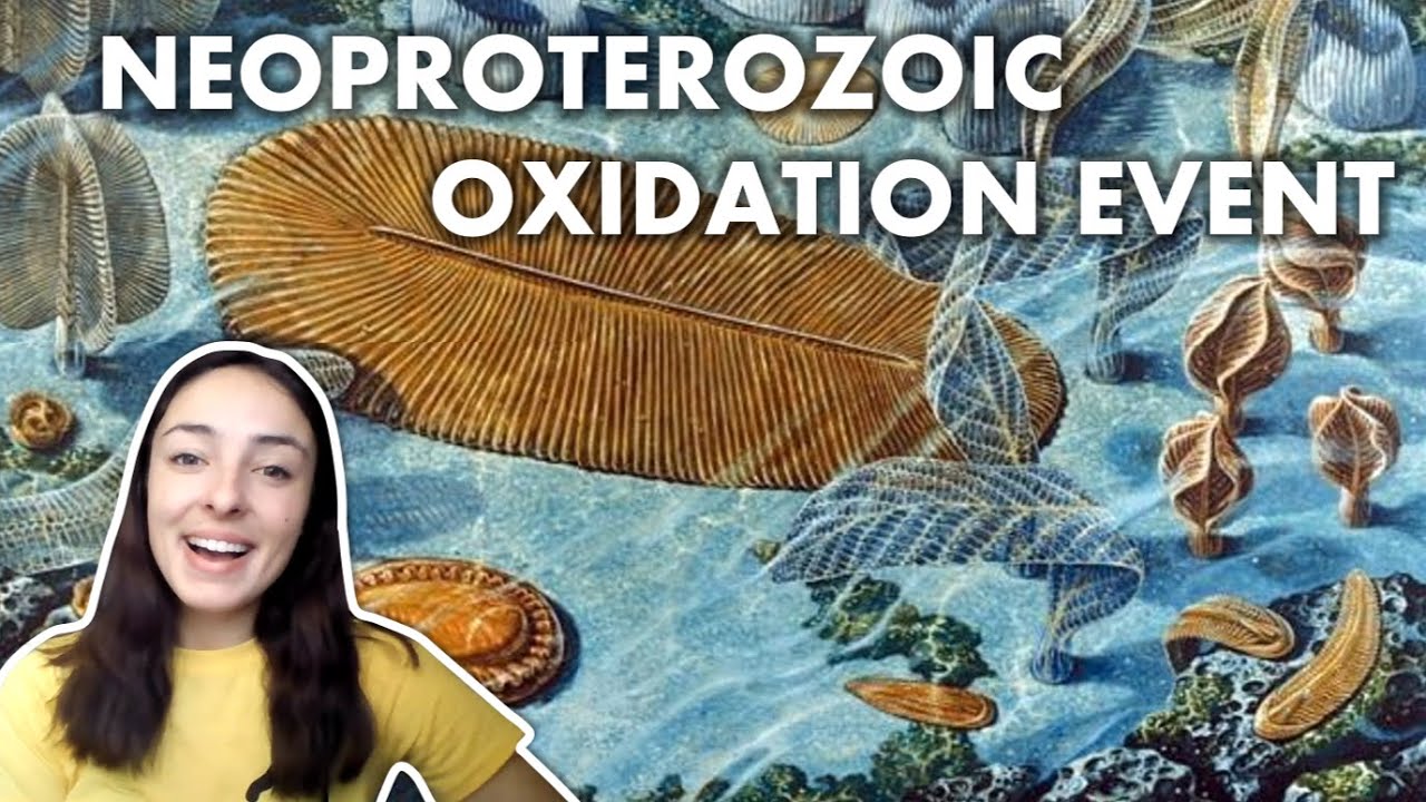 The Neoproterozoic Oxygenation Event (NOE) | GEO GIRL