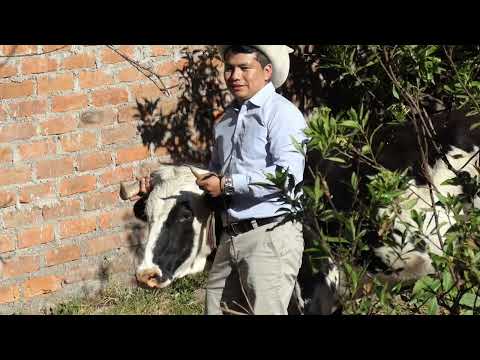 San Isidro de Acobamba - Herranza Maravi Chávez (2026)