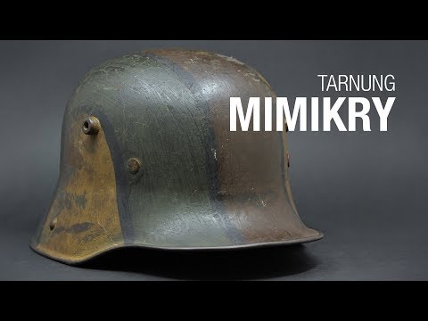 Tarnung Mimikry - Buntfarbanstrich
