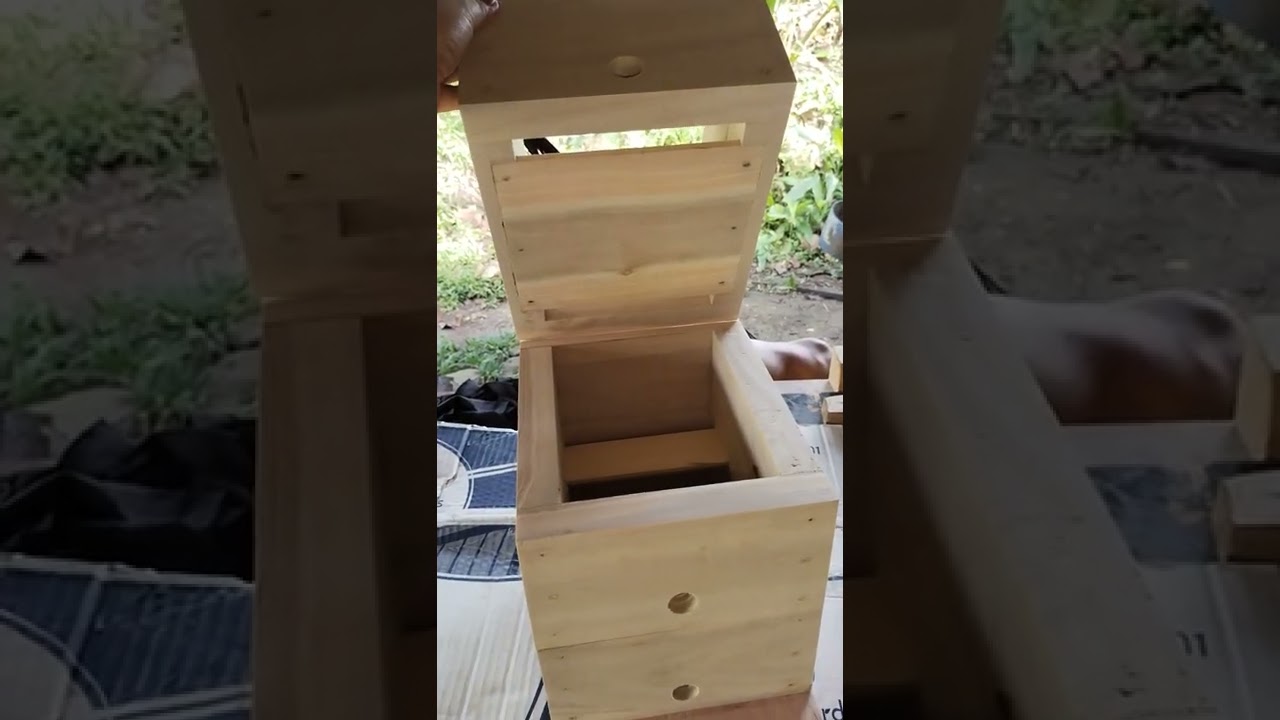 StinglessBee BOX HIVE
