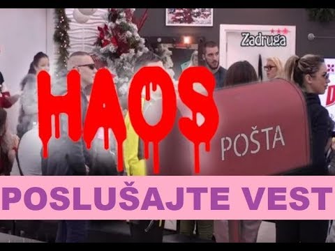 HIIITNO PISMO Veliko šefa / VAŽNO je  #zadruga #zadrugainfo