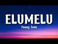 Young Jonn Elumelu (Lyrics video)