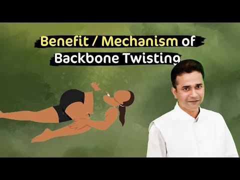 Yoga For Back Pain | Yoga Basics | backbone twisting | spinal twist yoga pose