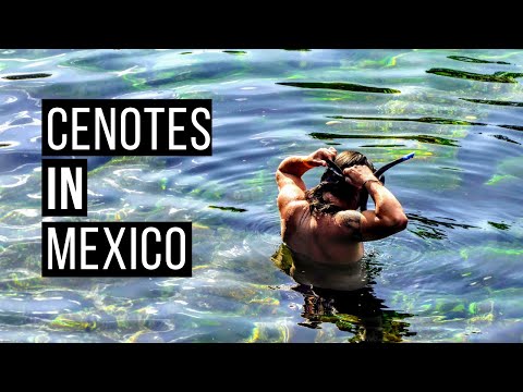 Exploring Cenotes on the Yucatan Peninsula, Mexico