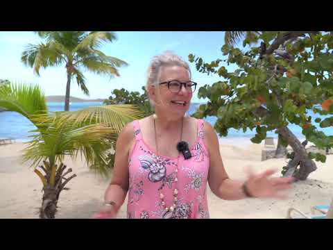 CE on The Beach by Minal Sampat