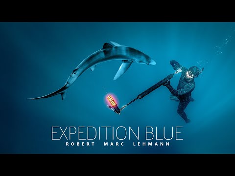 Robert vs. 2 METER Hai - Gelingt die Kamera-Mission? | Folge 03