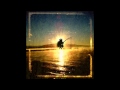 The Wishing Tree - Hollow Hills 