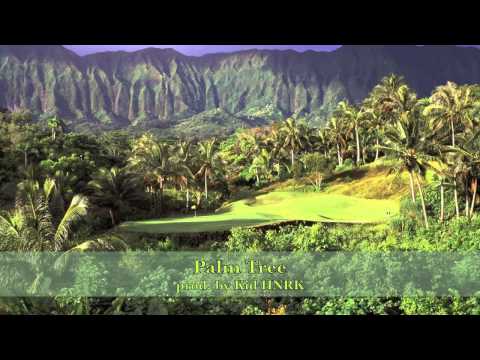 Palm Tree (prod. by Kid HNRK)