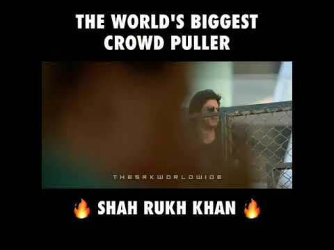 SRK birthday 2025 #bollywood mannat status trending #popular subscribe