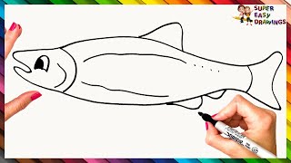 How To Draw A Salmon Step By Step 🐟 Salmon Drawing Easy