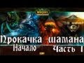 World of Warcraft Прокачка Шамана. Часть 1. Начало. 