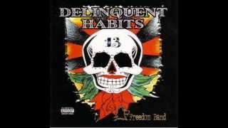 delinquent habits-this right here