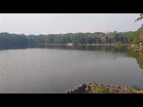 "Tranquil Trails: A Walk Through Nature's Heart"