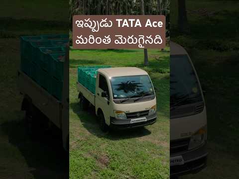 Neelu Arts Automobile