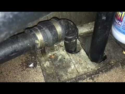 Be vigilant to Prevent Rodents in Commercial Facility in Brick, NJ