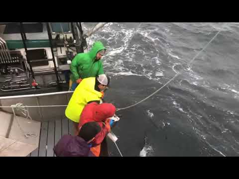 Rough Weather - Halibut Long lining Alaska