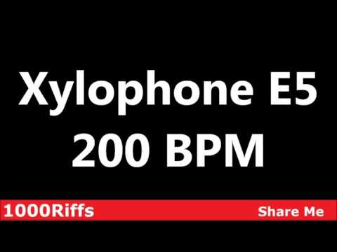 Xylophone E5 Metronome : 200 BPM ✓