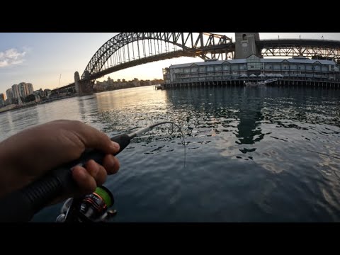 Fishing light gear in Sydney Harbour for Kingfish at Pier 2