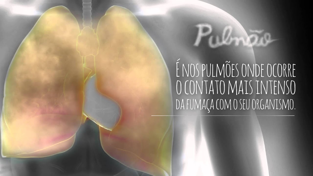 O Caminho da Fumaça