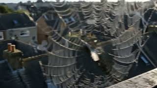 Veo 3 Prompt Feather's journey