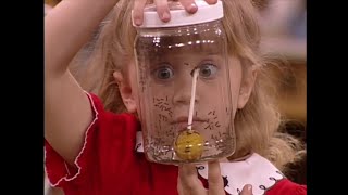 Full House - Michelle's lemonade business. End of Season 5