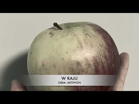 W RAJU- Orba- Artiphon