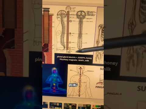 Christ Oil | Sacred Secretion | Chrism ✨️