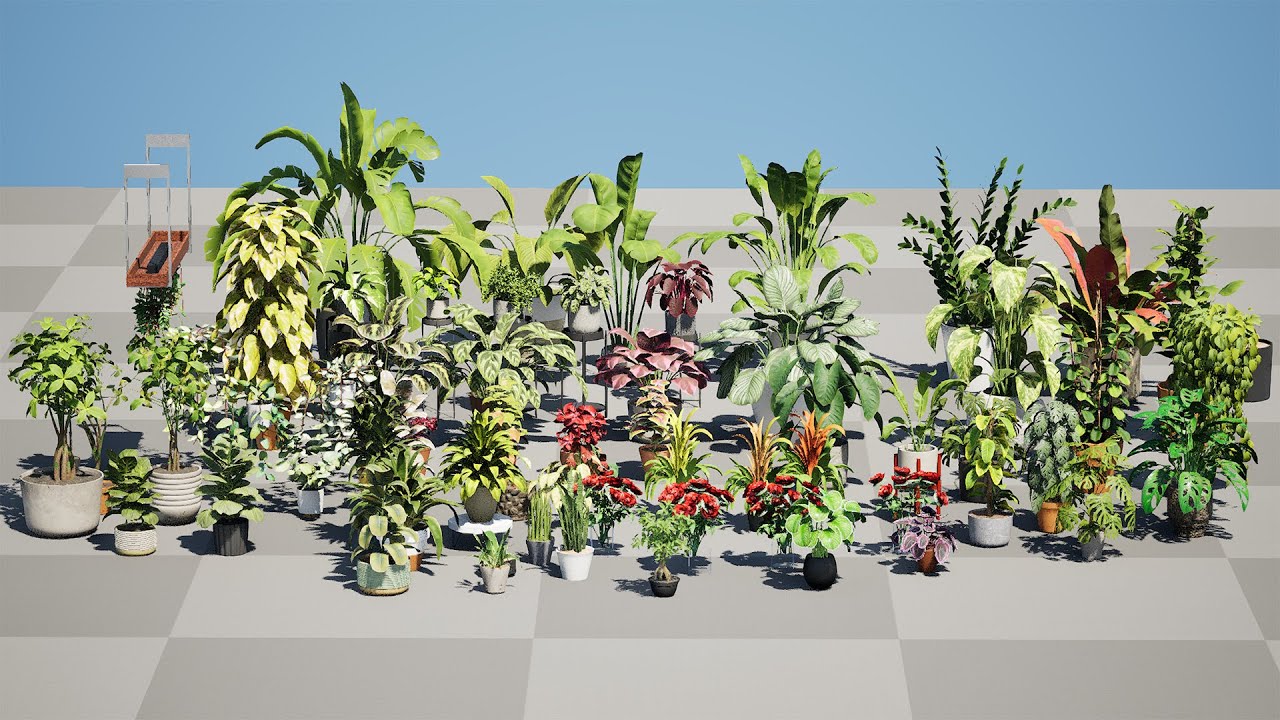観葉植物の 3D 低ポリアセット 3Dモデル