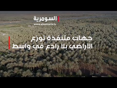 شاهد بالفيديو.. جهات متنفذة توزع الاراضي بلا رادع في واسط