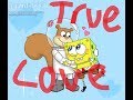 SpongeBob X Sandy True Love Requested By Janelle Santiago