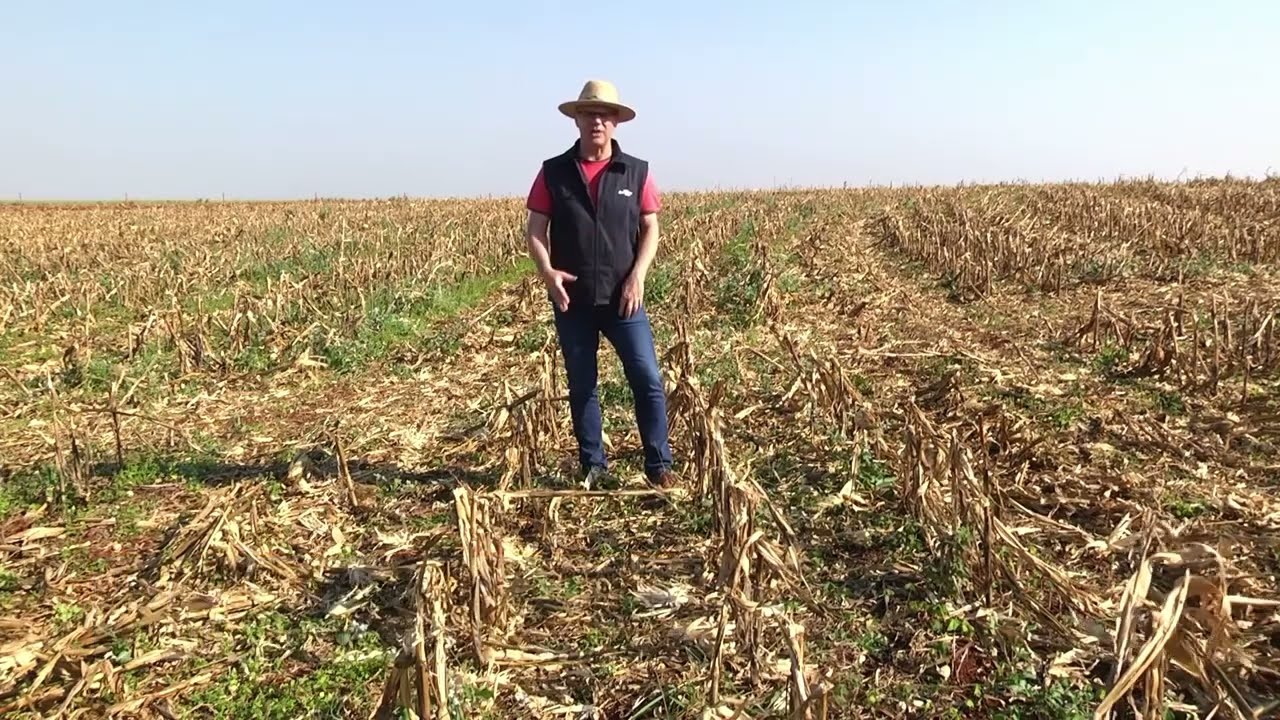 005 Local Avaliação - DRES