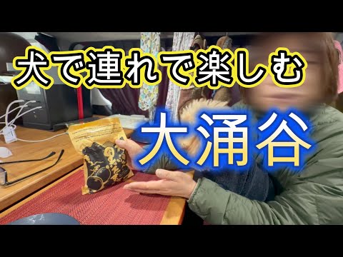 YouTube動画を再生