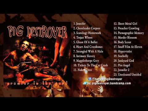 Video thumbnail for Prowler in the Yard [Liner Notes]