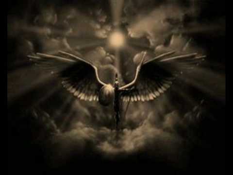 xamogela mr crees MSW 0001